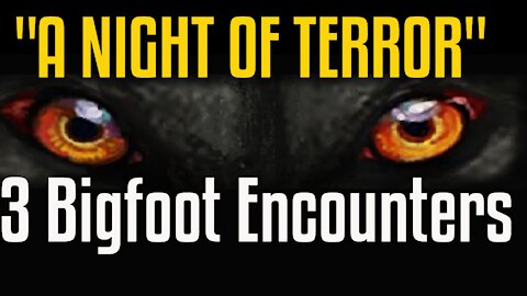 3 True Bigfoot Encounters