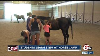 Students learn STEM at horse camp