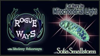 Let There Be Mitochondrial Light! with Sofia Smallstorm