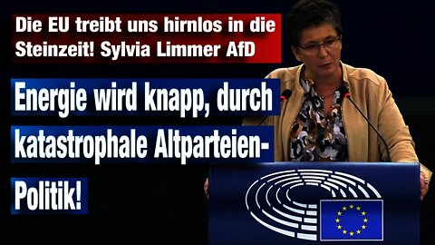 Die EU treibt uns hirnlos in die Steinzeit! Sylvia Limmer, AfD