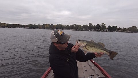 Big Fall Bass