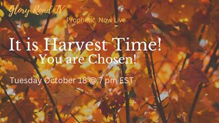 Glory Road TV Prophetic Word- Harvest Time is Here! You are Chosen of God!