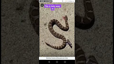 Mundo de conspiración. Serpiente decapitada se muerde la cola.