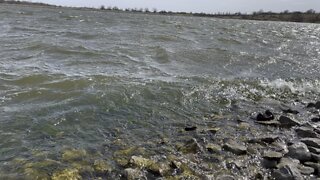 A Windy day at Maple Leaf Lake