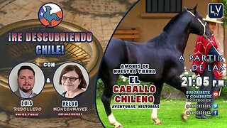 "Re Descubriendo Chile" Ep.13 - Amores de nuestra tierra - El Caballo Chileno