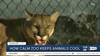 How CALM Zoo keeps animals cool during high heat