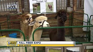 Fall Fiber Expo