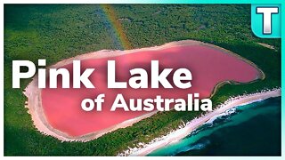 Don't Swim in this Water | Lake Hilliler Australia