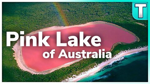 Don't Swim in this Water | Lake Hilliler Australia