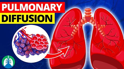 Pulmonary Diffusion (Medical Definition) | Quick Explainer Video 🫁