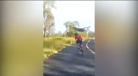 kangaroo jump cyclist