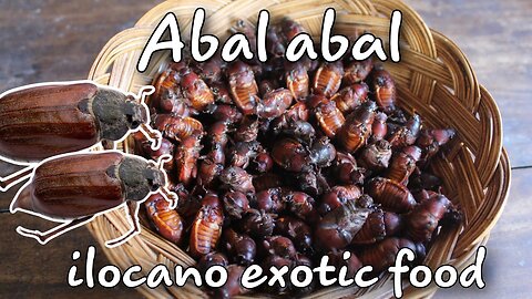 Catch and cook ABAL-ABAL exotic food of ilocano's people in Northern Luzon