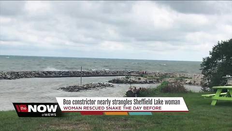 Sheffield Lake woman calls 911: I have a boa constrictor stuck to my face