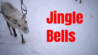 Jingle Bells | Sing-Along | Read-Along For Kids