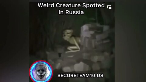 Weird Alien Creature - SECURETEAM10 Extended