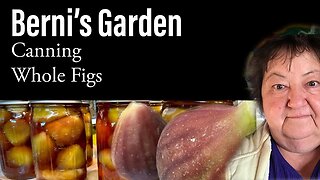 #canning Whole Figs