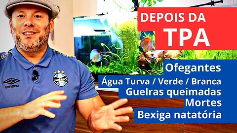 Peixes Morrendo Pós TPA? Pode Ser a Água Nova! Fácil de Resolver!