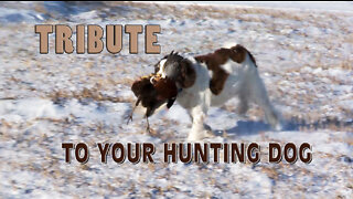 A Tribute to your hunting dog
