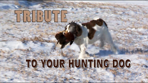 A Tribute to your hunting dog