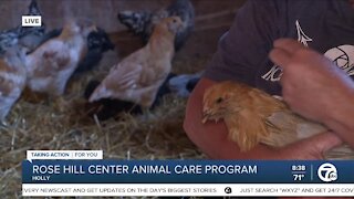 Rose Hill Center Animal Care Program