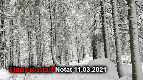 Hans Rustad notat 11.03.2021 Lykke