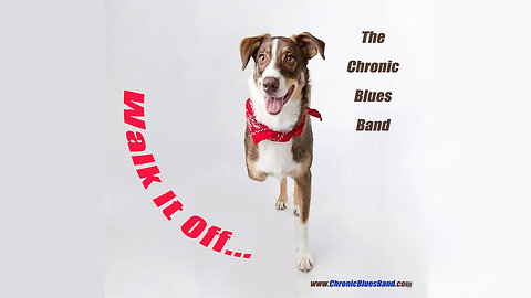 Walk It Off - Chronic Blues Band (Original)