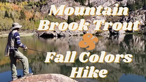 Epic Trout Fishing & Fall Hike | Lake Blanche Trail, Wasatch Mountains, Utah