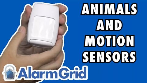 Do Animals Set Off Outdoor Motion Sensors?