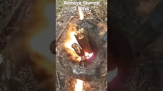 How to Remove Stumps 3 Ways #Shorts