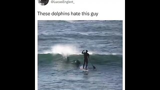 A man is attacked by a dolphin while paddle boarding
