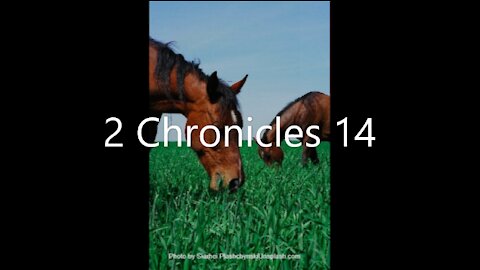 2 Chronicles 14 | KJV | Click Links In Video Details To Proceed to The Next Chapter/Book