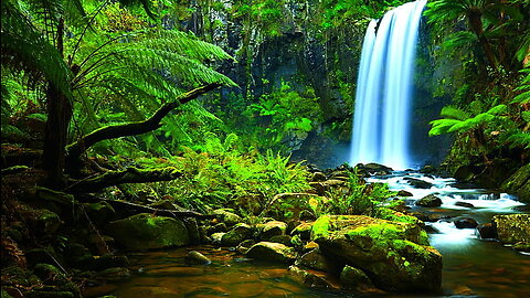 "Captivating Amazon Forest View: A Mesmerizing Journey into the Heart of Nature"