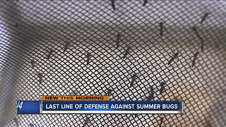 Last line of defense against summer bugs