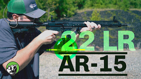 .22 LR AR-15 Complete Upper (AR-22): In Depth