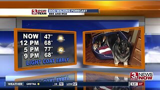 Dog Walking Forecast 4/24/19