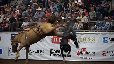 The Toughest Bronc' Busters at the San Angelo Rodeo