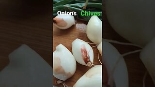 Homegrown Onions 🧅🧅 Homegrown Part 1