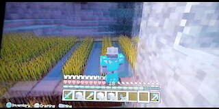 Minecraft SMP: The great wheat war