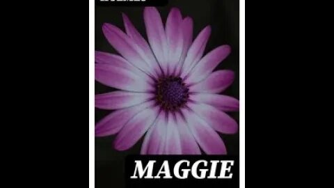Maggie Miller by Mary Jane Holmes - Audiobook