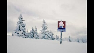 Skier survives frightening avalanche!