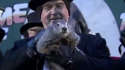 Groundhog sees his shadow, 6 more weeks of winter
