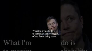 Elon Musk Quote - When I'm trying to do is maximize...