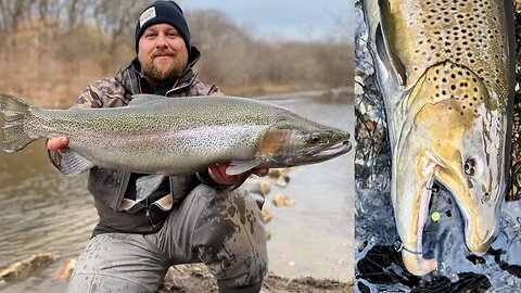 Brown Trout Smack Down Part 2 / Brown Trout & Steelhead Fishing With Beads / Centerpin Float Fishing