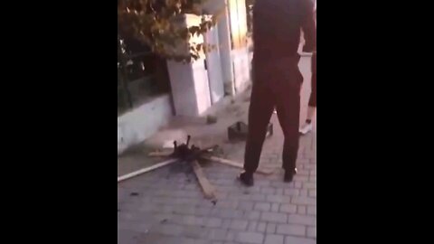 if an illegal immigrant was cooking a cat on the sidewalk in America, like this one in Italy