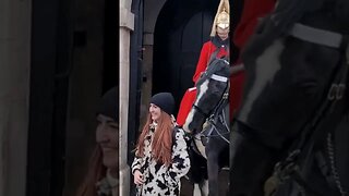 Horse bites back of tourists #horseguardsparade