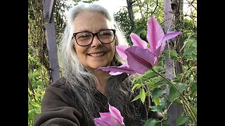 Clematis flowers showing off 🌸🌱 Musing about mid-Spring's potentially Supportive Qualities💚🌱🌿🙌