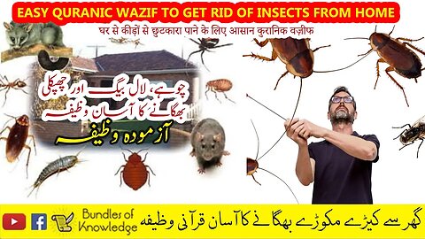 گھر سے کیڑے مکوڑے بھگانے کا آسان قرآنی وظیفہ | Easy Quranic Wazif to get rid of insects from home