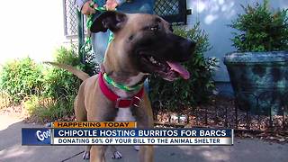 Chipotle hosting Burritos for BARCS on Thursday