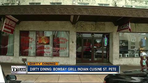 Dirty Dining: Bombay Grill Indian Cuisine shut down for 700+ rodent droppings in kitchen