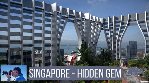 Come Explore A Hidden Gem In Singapore - The Capitaspring Sky Garden! - Plus a tour of Chinatown